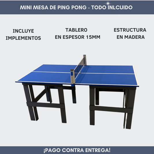 Mini Mesa de Ping Pong