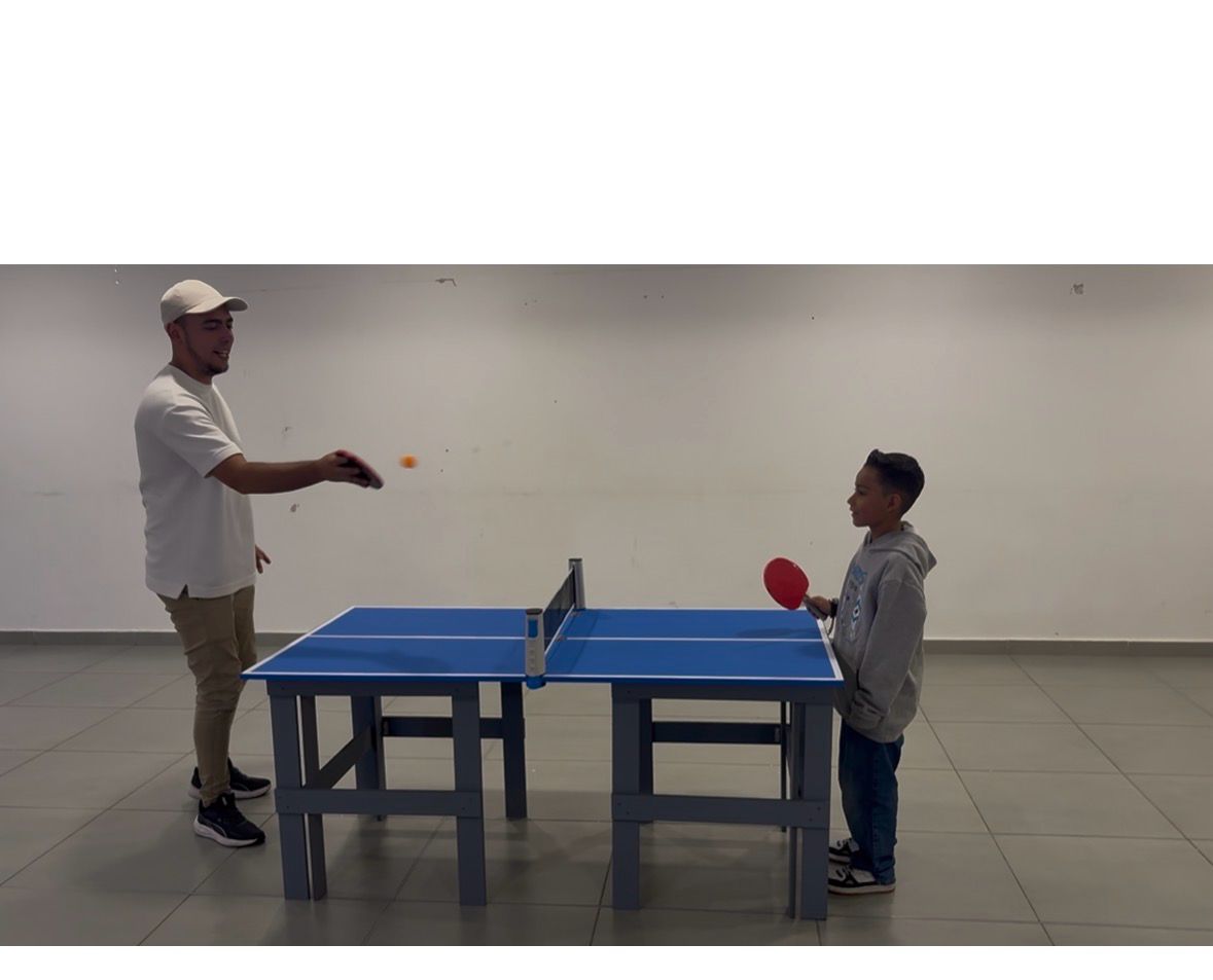 Mini Mesa de Ping Pong