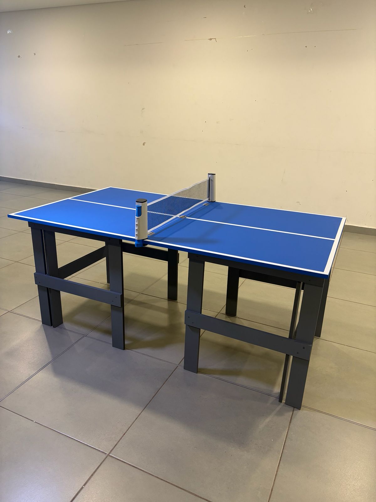 Mini Mesa de Ping Pong