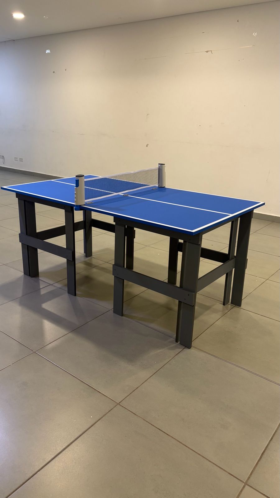 Mini Mesa de Ping Pong
